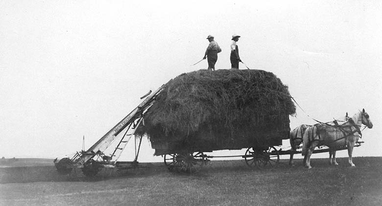 Peter on hay wagon
